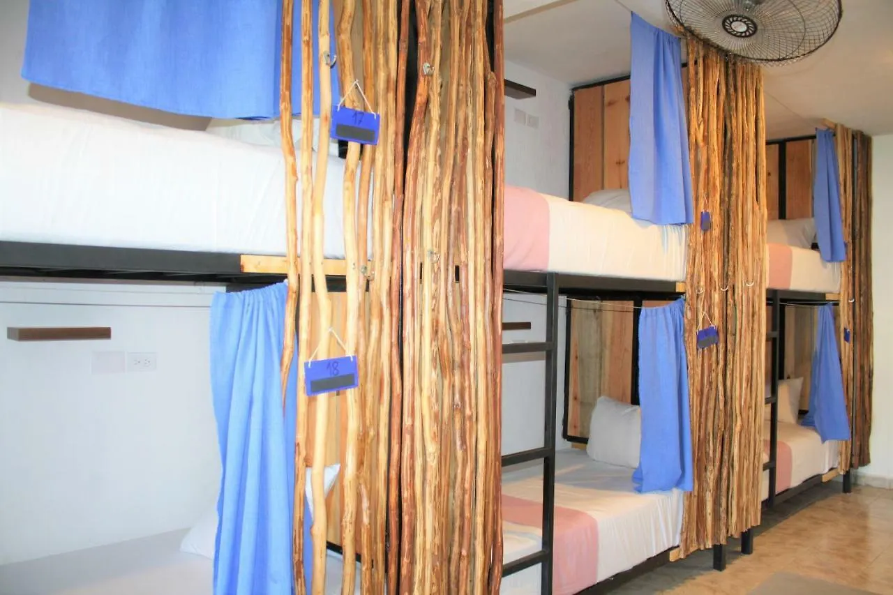 פלאייה דל כרמן Namastay Hostel פלאייה דל כרמן