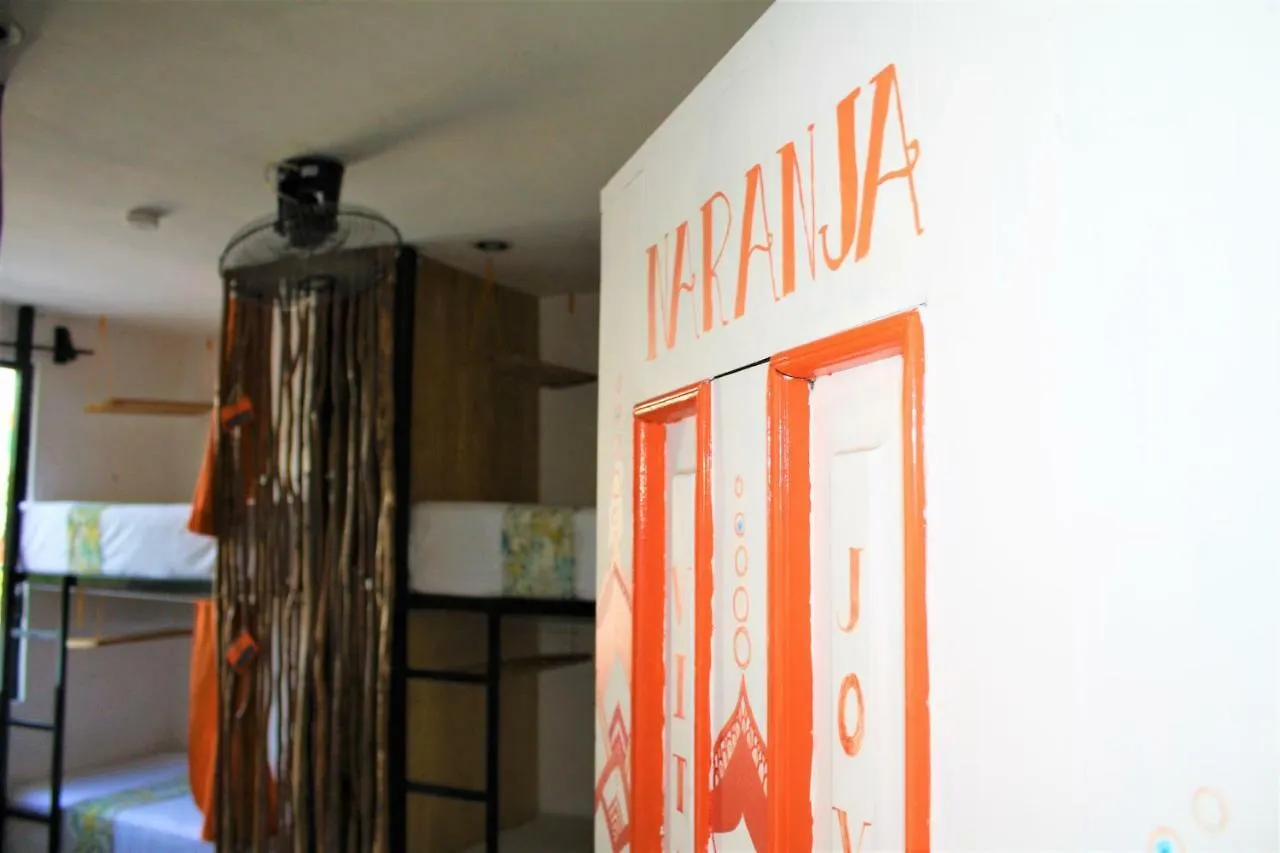 פלאייה דל כרמן Namastay Hostel מקסיקו