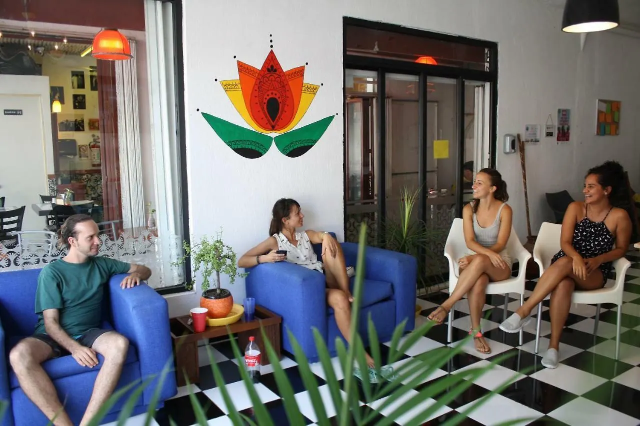 פלאייה דל כרמן Namastay Hostel מקסיקו