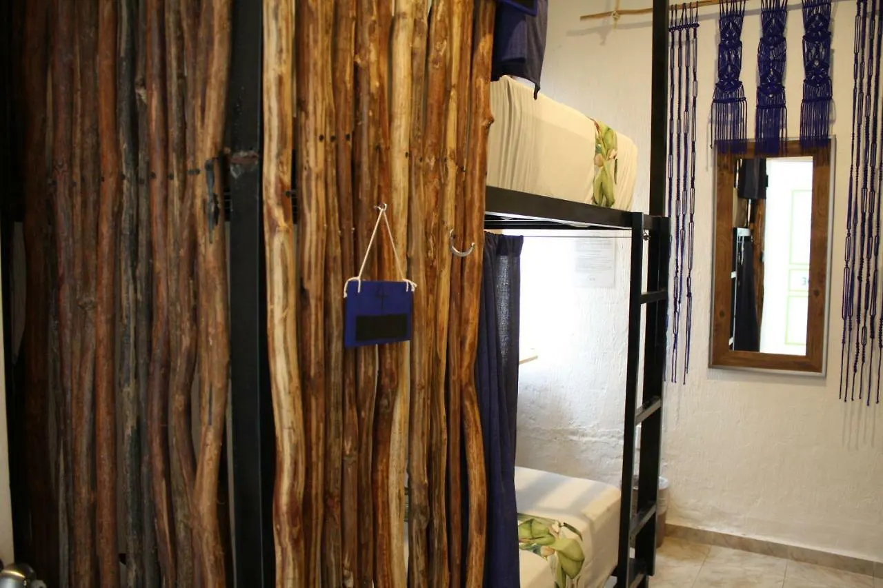 פלאייה דל כרמן Namastay Hostel 0*, פלאייה דל כרמן