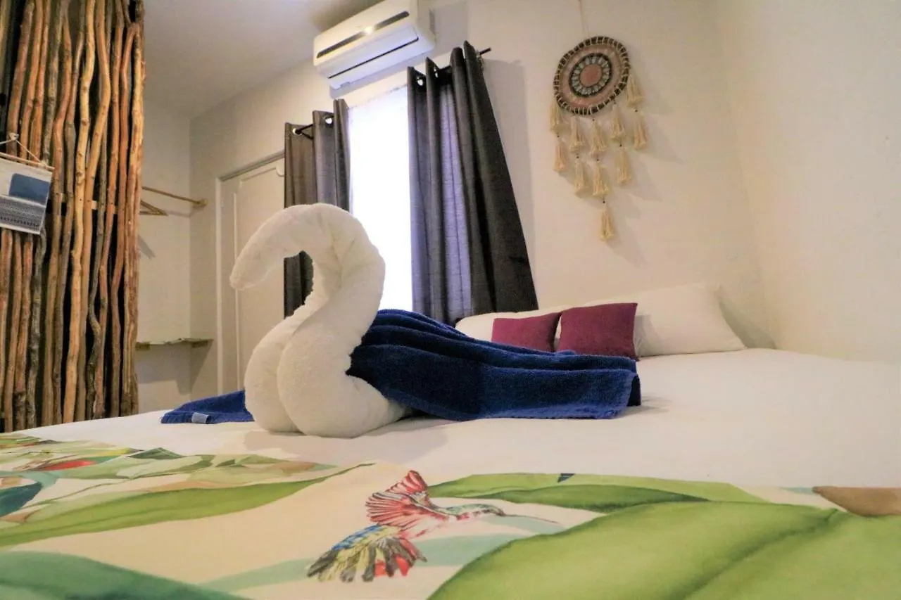 Namastay Hostel 신데 델 카르멘