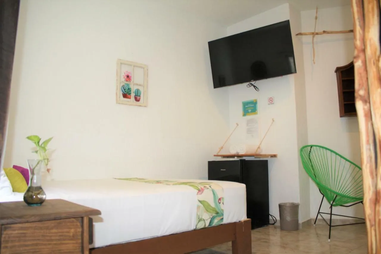Namastay Hostel 신데 델 카르멘 멕시코
