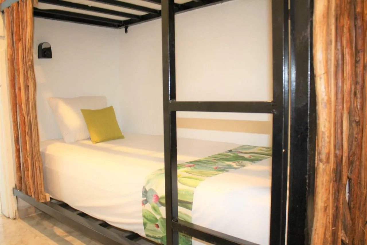 Namastay Hostel 신데 델 카르멘