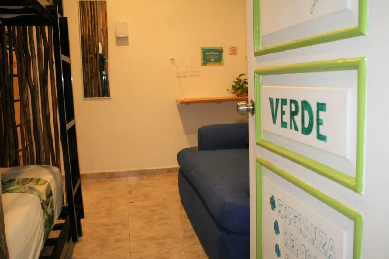 Namastay Hostel 신데 델 카르멘