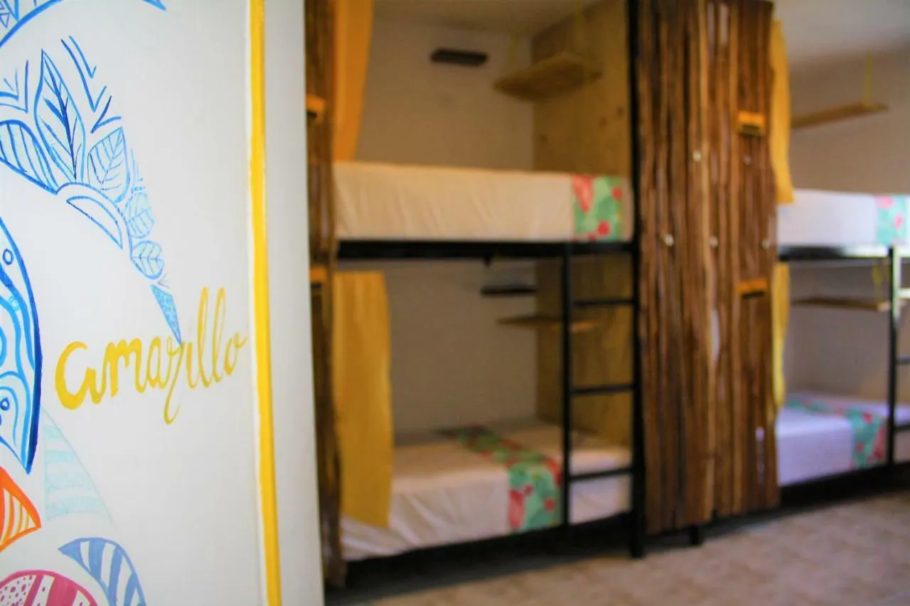 Namastay Hostel 신데 델 카르멘 멕시코