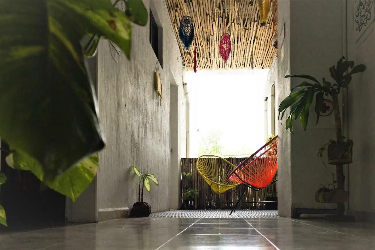 Namastay Hostel 신데 델 카르멘
