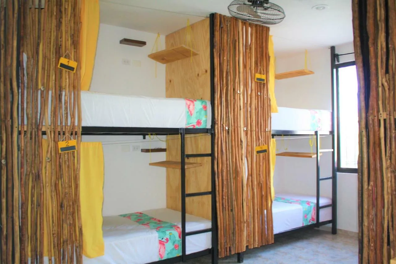 Namastay Hostel 신데 델 카르멘 0*,