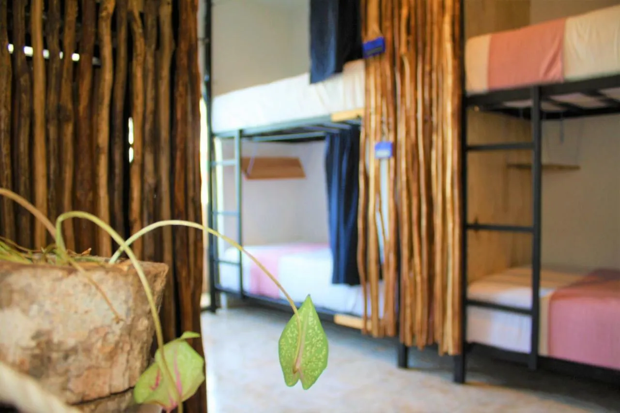 Namastay Hostel 신데 델 카르멘