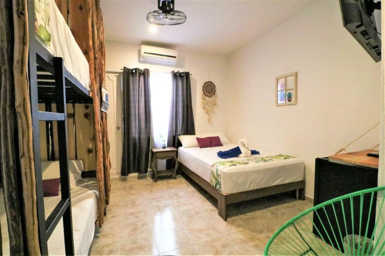 Namastay Hostel 신데 델 카르멘