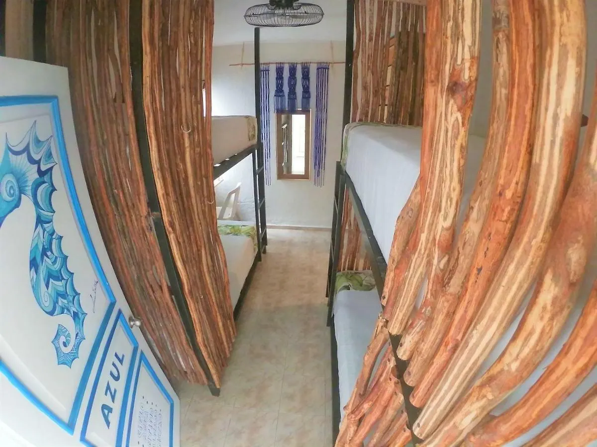 Namastay Hostel 신데 델 카르멘