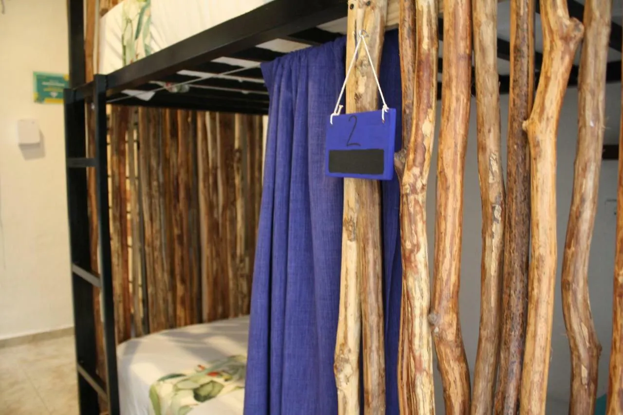Namastay Hostel 신데 델 카르멘 0*,