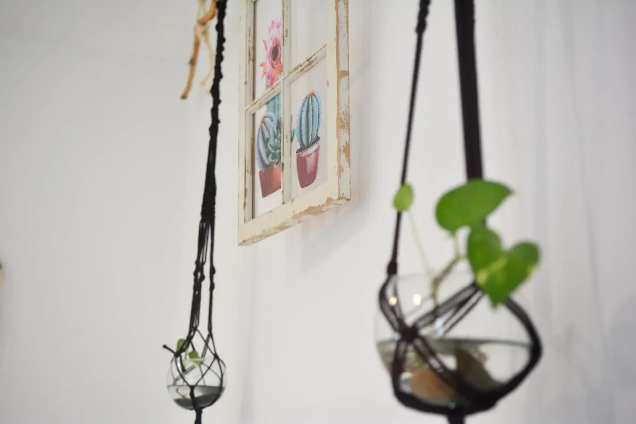 Namastay Hostel 普拉亚卡门